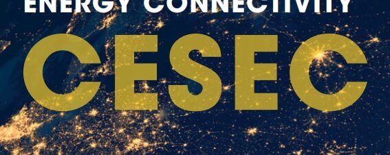 Renewable energy prospects for Central and South-Eastern Europe Energy Connectivity 2020 IRENA